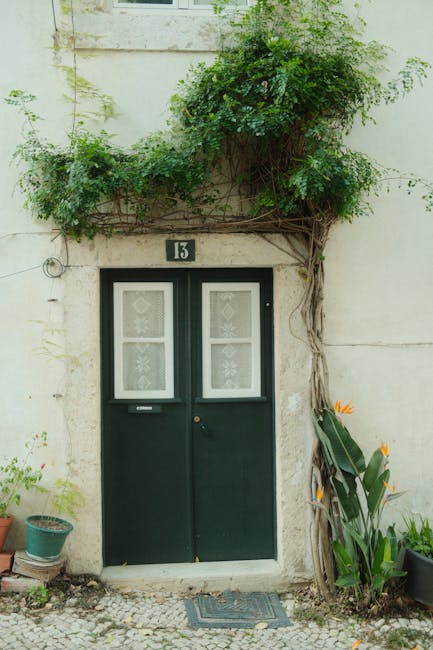 A green door surrounded by lush ivy